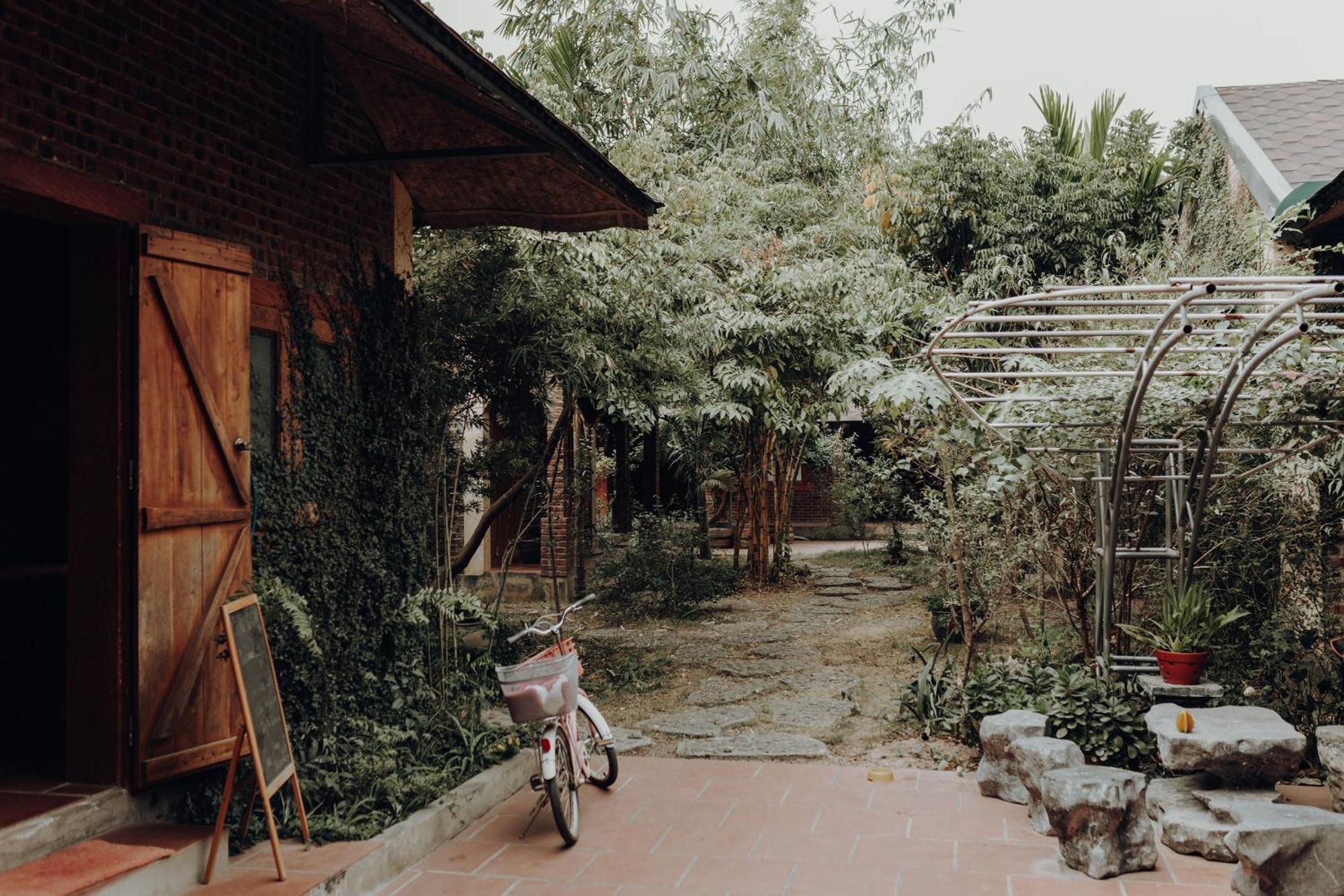 Ninh Binh Palm Homestay Extérieur photo