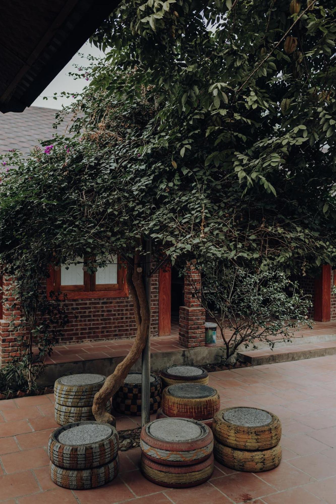 Ninh Binh Palm Homestay Extérieur photo