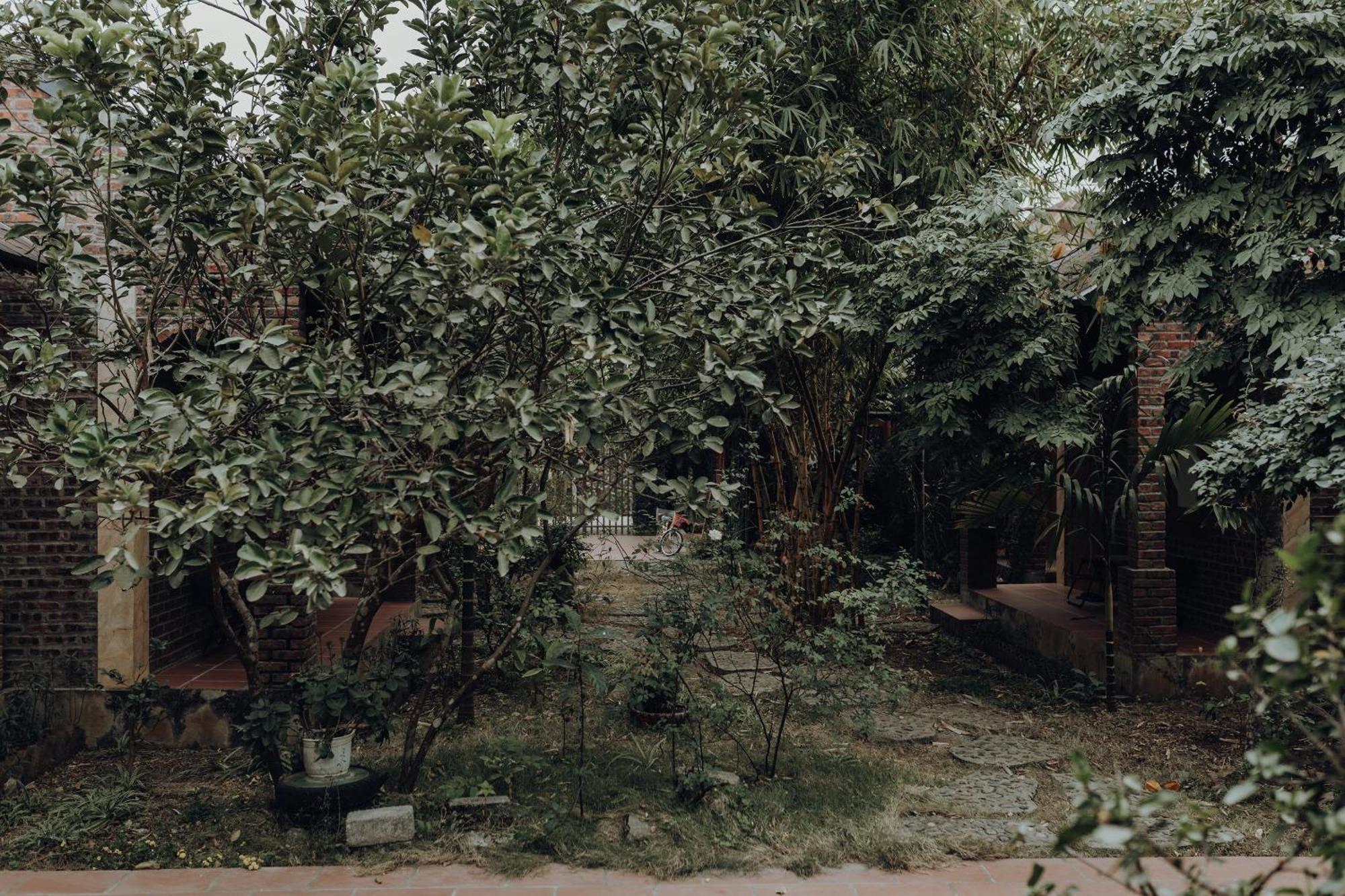 Ninh Binh Palm Homestay Extérieur photo