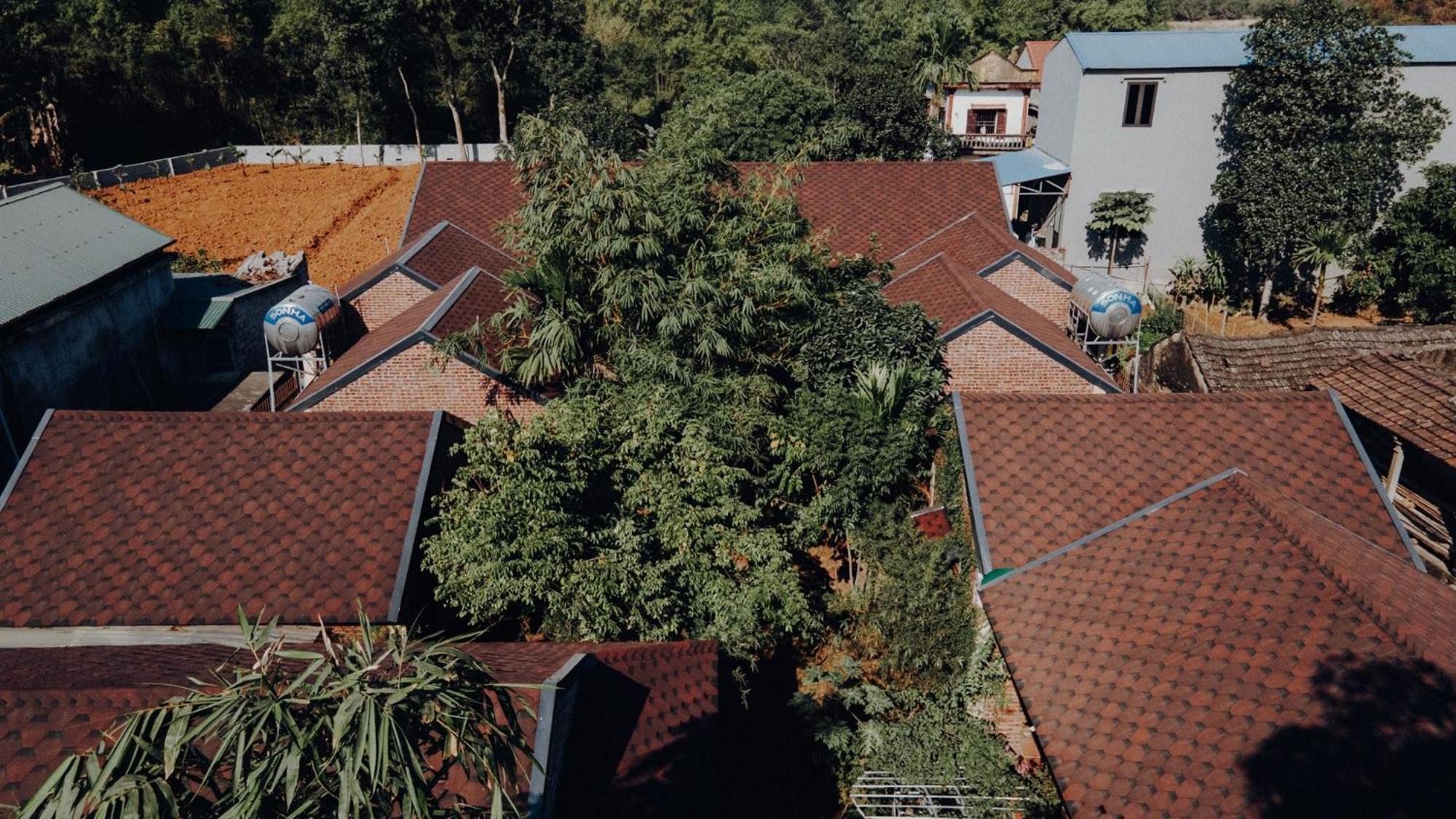 Ninh Binh Palm Homestay Extérieur photo